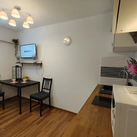 Apartment Hollidays Centrum *