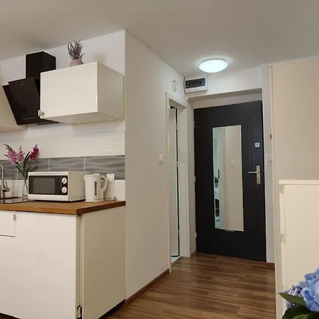Apartment Hollidays Centrum *